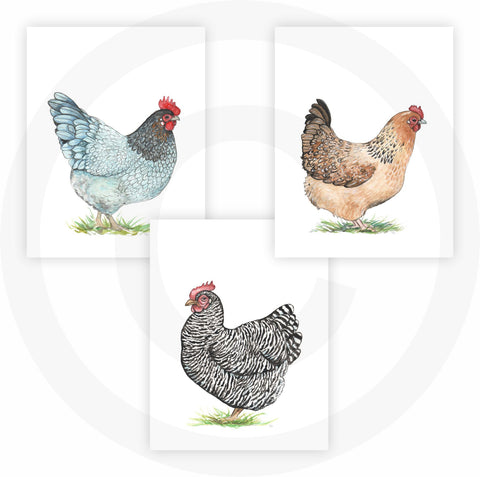 FannyD UNFRAMED Watercolor Art 3 Print Set 8.5" x 11" Perfect for Bedroom, Bathroom, Kitchen, Nursery etc. Can Be Framed 8" x 10" or Larger with mat. Unique Wall Decor!! (Chickens Black)