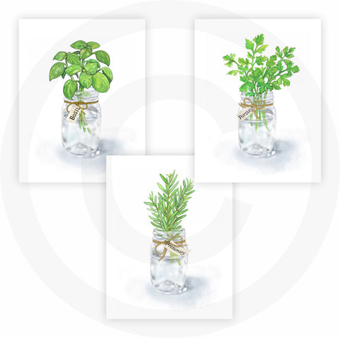 FannyD Kitchen Herbs UNFRAMED Watercolor Art 3 Print Set 8.5" x 11" Perfect for Bedroom, Bathroom, Kitchen, Nursery etc. Can Be Framed 8" x 10" or Larger with mat. Unique Wall Decor!! (Herbs 1 Green)