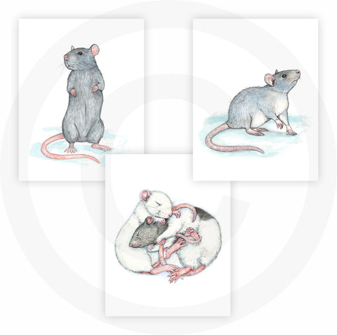 FannyD Rats UNFRAMED Watercolor Art 3 Print Set 8.5" x 11" Perfect for Bedroom, Bathroom, Kitchen, Nursery etc. Can Be Framed 8" x 10" or Larger with mat. Unique Wall Decor!! (Rats Blue)